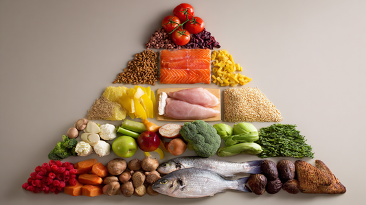 Les composants essentiels de l’alimentation : comprendre les fondations