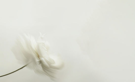 Les erreurs à éviter lors du lancement de sa marque de cosmétiques