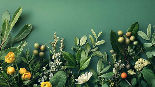 Phytothérapie et médecine traditionnelle : comment les combiner ?