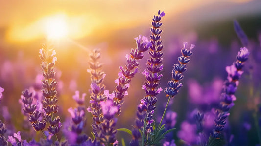 Les erreurs fréquentes à éviter en aromathérapie