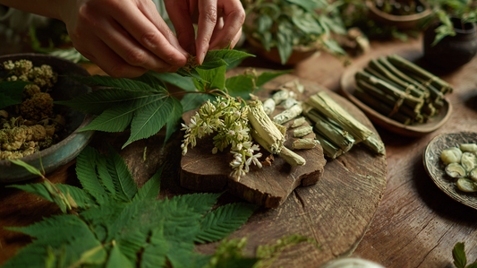 Les plantes incontournables pour détoxifier et purifier l’organisme