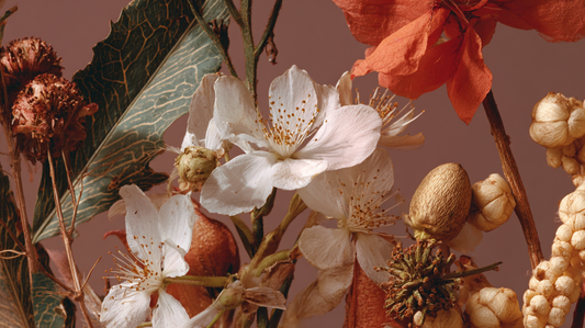 Comment bien préparer et conserver ses plantes médicinales