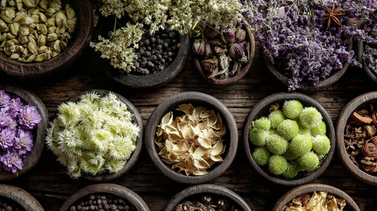 Accompagner les enfants grâce à une Formation en phytothérapie
