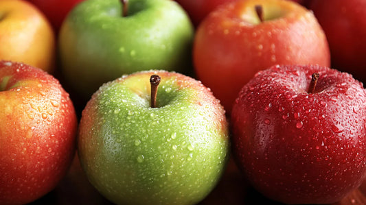 Les meilleures alternatives végétales aux protéines animales